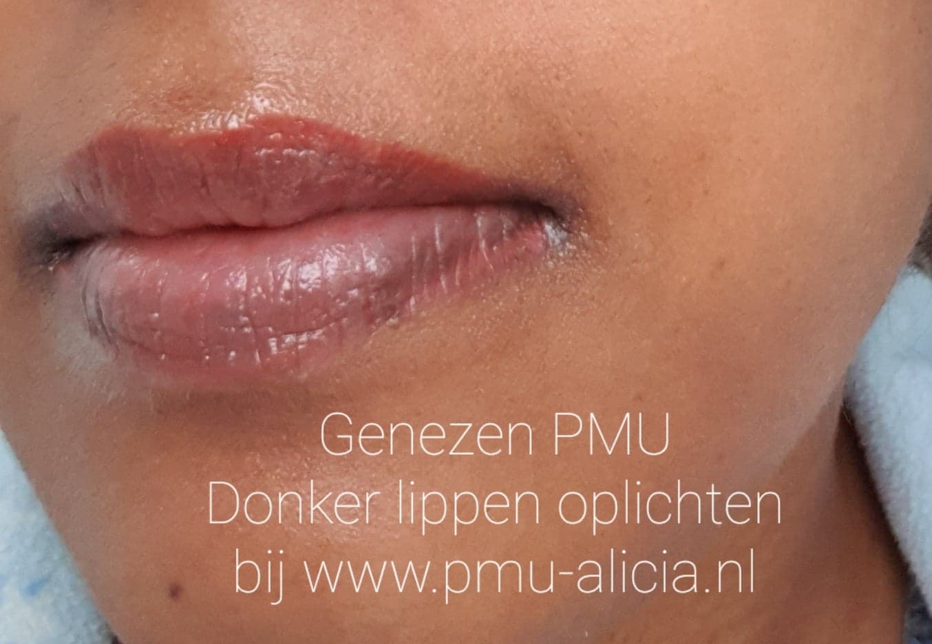 Beautysalon en Permanente makeup Alicia Donkere lippen oplichten ( Neutralisatie)